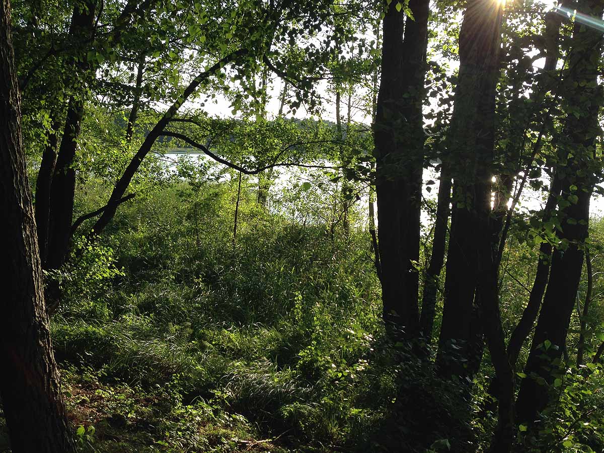 Mittelprendensee (Prenden, Brandenburg)