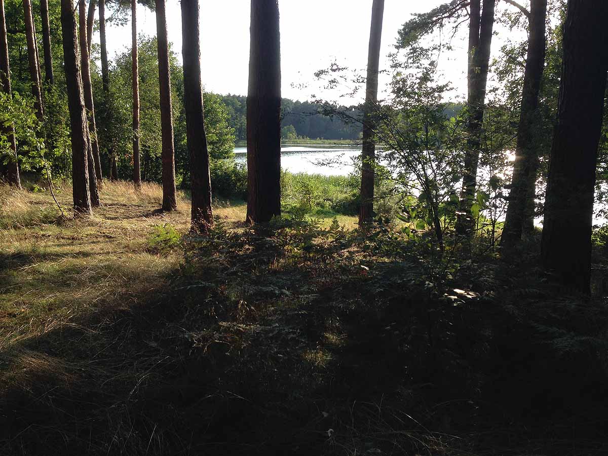 Mittelprendensee (Prenden, Brandenburg)