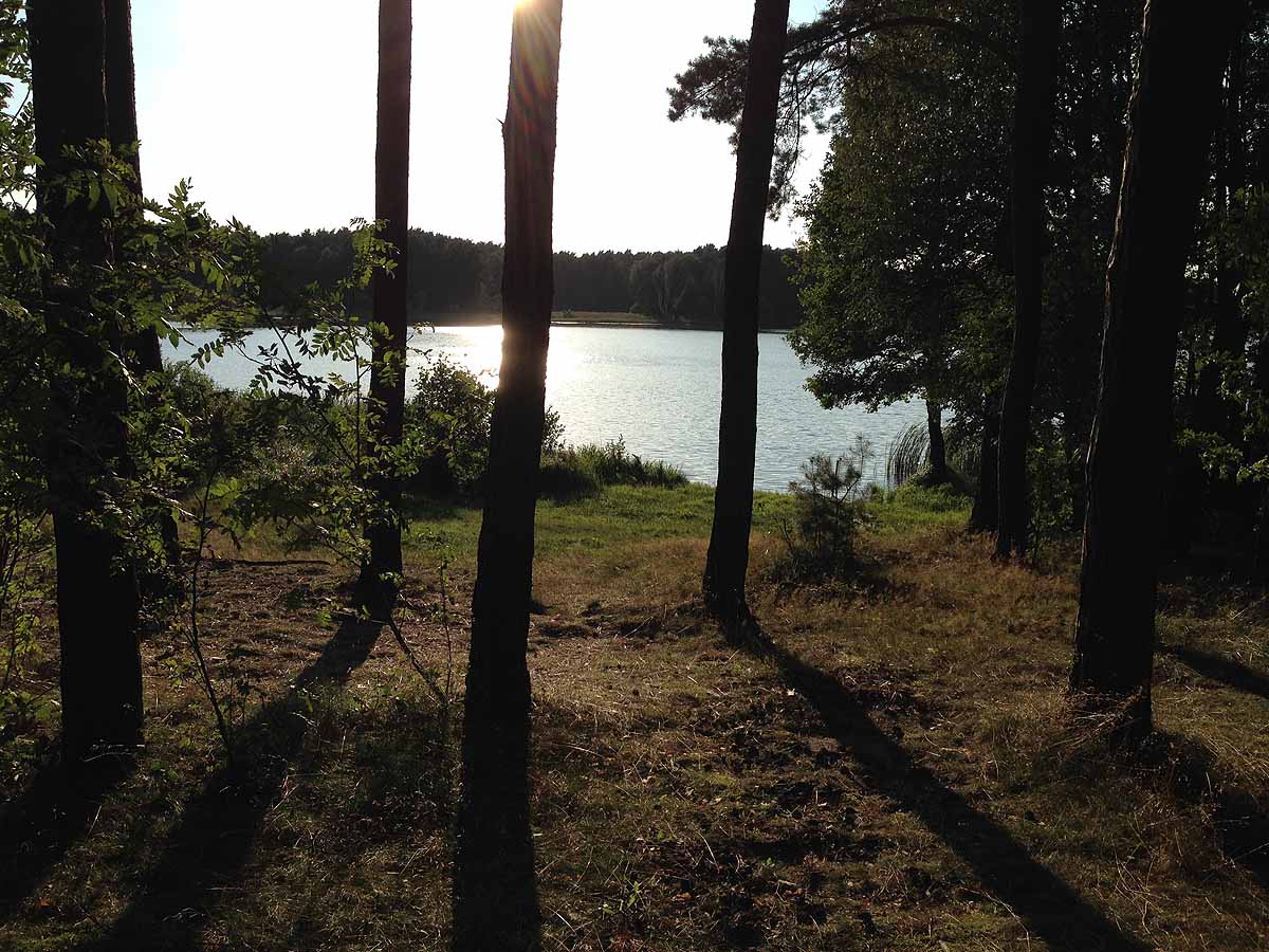 Mittelprendensee (Prenden, Brandenburg)
