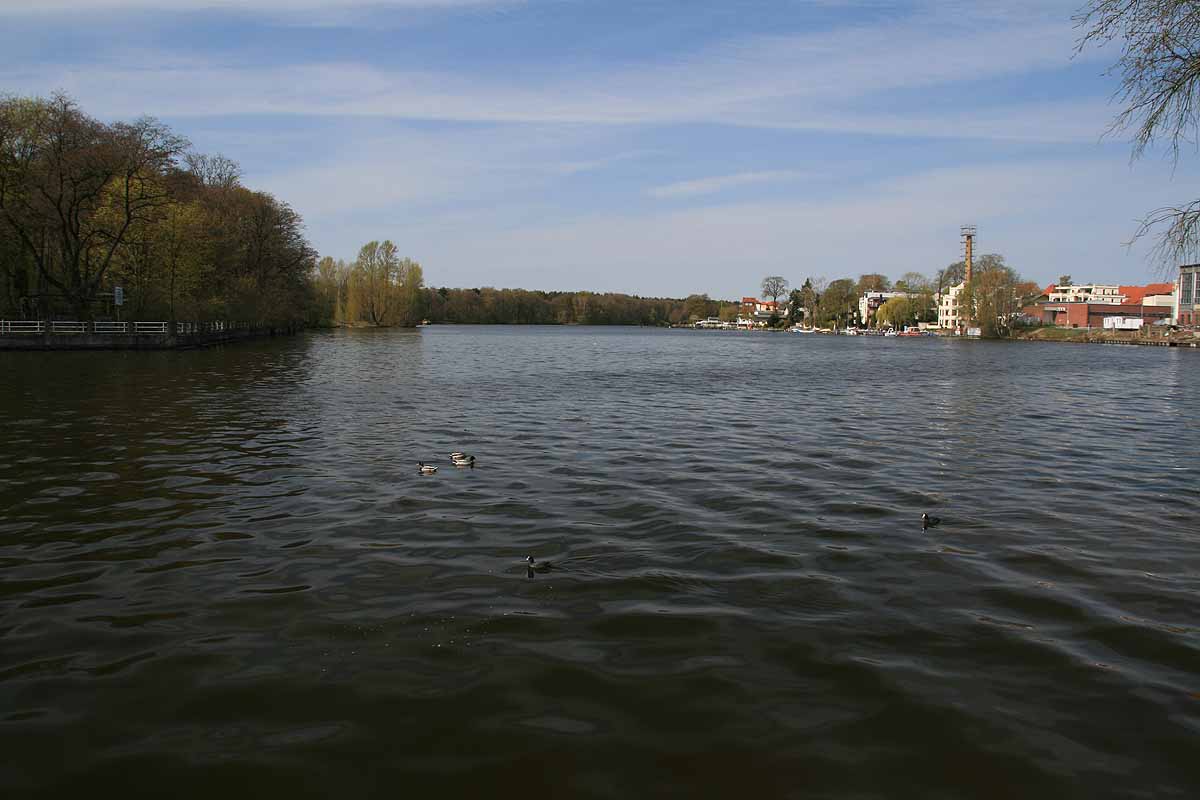 Müggelseedamm (Berlin)