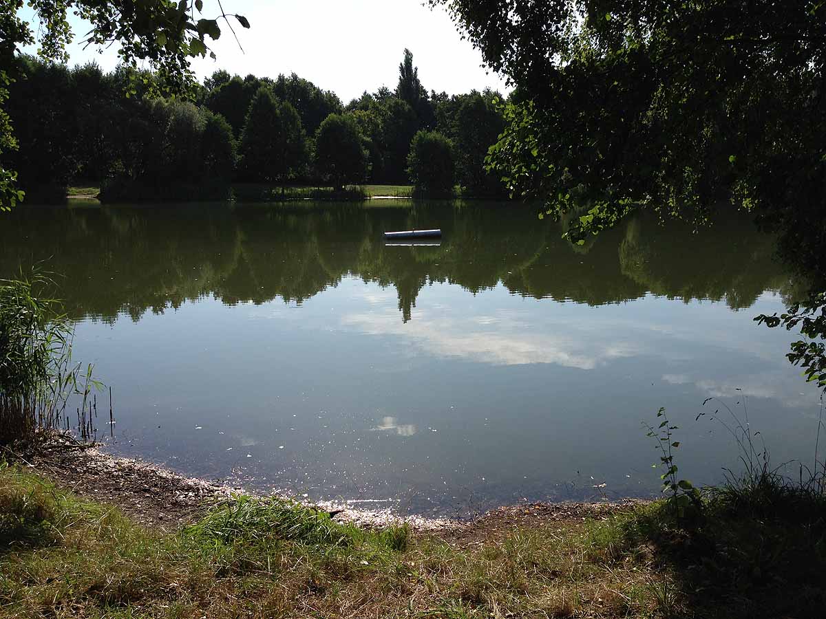 Kiessee (Mühlenbeck-Mönchmühle, Brandenburg)