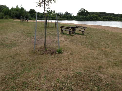 Baggersee (Övenstädt, Niedersachsen)