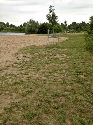 Baggersee (Övenstädt, Niedersachsen)