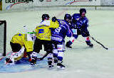 Straubing Tigers (Straubing)