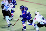 Straubing Tigers (Straubing)