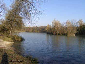 Unterföhringer See (München)