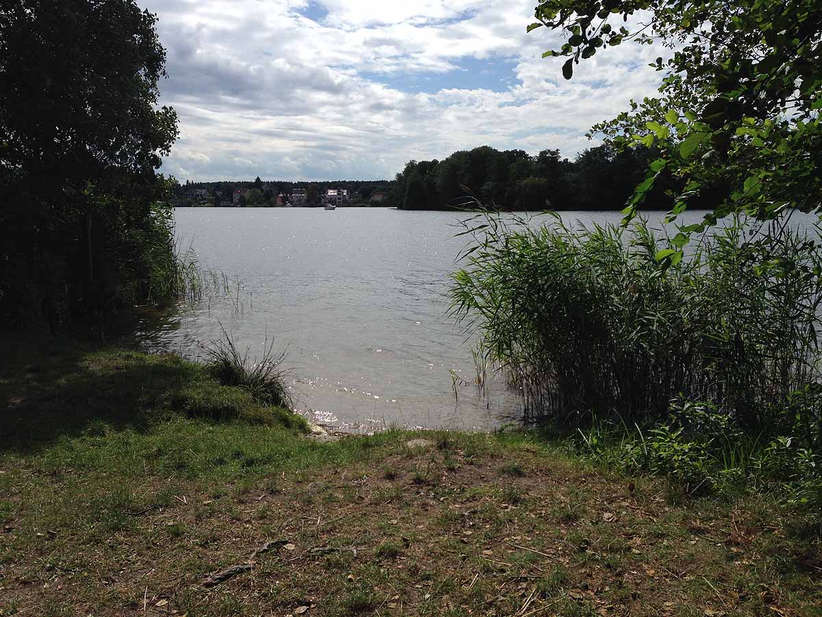 Werlsee (Grünheide, Brandenburg)